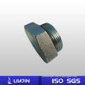Forged High Pressure Pipe Fittings Bsp Plug